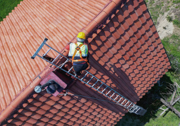 Best Asphalt Shingle Roofing  in Waynesburg, OH